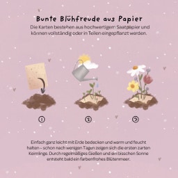 Die Stadtgärtner Grußkarten aus Saatpapier - Alles Gute