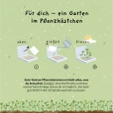 Die Stadtgärtner Pflanzkästchen 