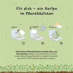 Die Stadtgärtner Pflanzkästchen 