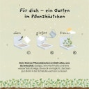 Pflanzkästchen 