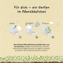Die Stadtgärtner Pflanzkästchen 