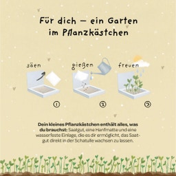 Die Stadtgärtner Pflanzkästchen 