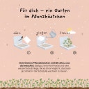 Die Stadtgärtner Pflanzkästchen 