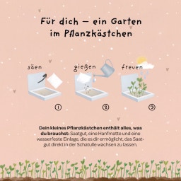Die Stadtgärtner Pflanzkästchen 