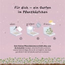 Die Stadtgärtner Pflanzkästchen 