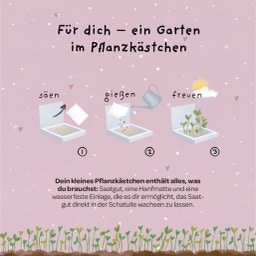 Die Stadtgärtner Pflanzkästchen 