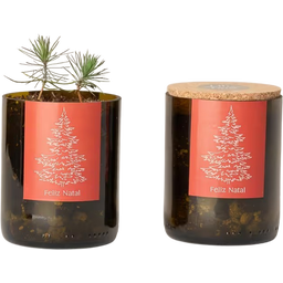 Life in a bag Bottle Garden - Albero di Natale - 1 pz.