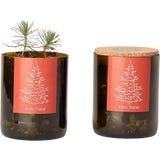 Life in a bag Bottle Garden Christmas Tree