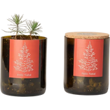 Life in a bag Bottle Garden Christmas Tree