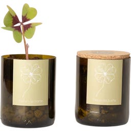 Ďatelina šťastia Bottle Garden - 1 ks