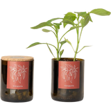 Life in a bag Bottle Garden Chili