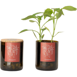 Life in a bag Bottle Garden - Chili - 1 szt.