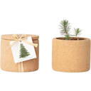 Life in a bag Grow Cork Kerstboom