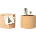 Life in a bag Grow Cork Weihnachtsbaum