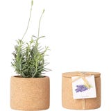 Life in a bag Levanduľa Grow Cork