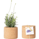 Life in a bag Grow Cork - Lawenda