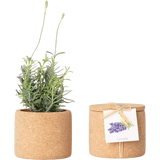 Life in a bag Grow Cork - Lavanda