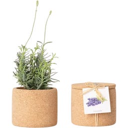 Life in a bag Grow Cork - Lavanda - 1 pieza