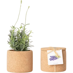 Life in a bag Grow Cork Lavendel - 1 st.