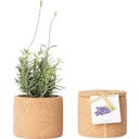 Life in a bag Grow Cork Lavanda