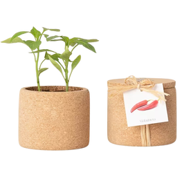 Life in a bag Grow Cork Chili - 1 stuk