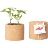 Life in a bag Grow Cork - Peperoncino