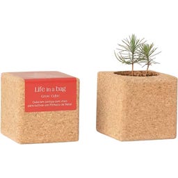 Life in a bag Grow Cube Árvore de Natal - 1 Unidade