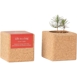 Life in a bag Grow Cube Julgran - 1 st.