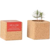 Life in a bag Grow Cube Christmas Tree