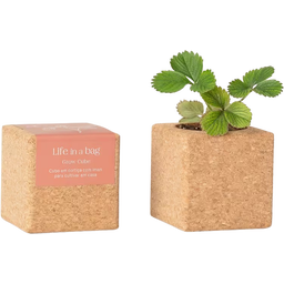 Life in a bag Grow Cube Strawberry - 1 item