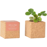 Life in a bag Grow Cube - Truskawka