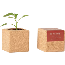 Life in a bag Grow Cube Chilli - 1 item