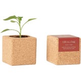 Life in a bag Grow Cube - Peperoncino