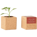 Life in a bag Grow Cube - Chili