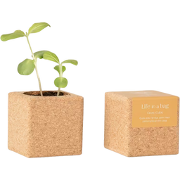 Life in a bag Grow Cube - Girasole - 1 pz.