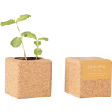 Life in a bag Grow Cube Sunflower