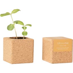 Life in a bag Grow Cube Girassol - 1 Unidade