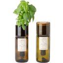 Life in a bag Grow Bottle Basilika - 1 st.