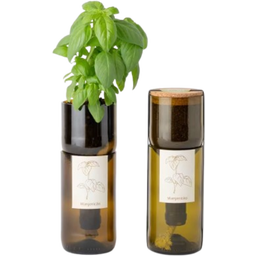 Life in a bag Grow Bottle Basilikum - 1 Stk.