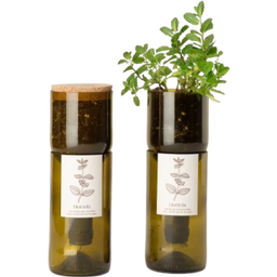 Life in a bag Grow Bottle Minze - 1 Stk.