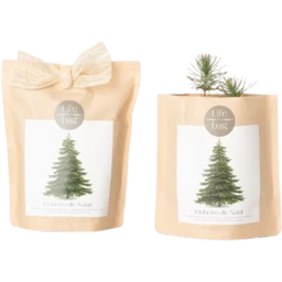 Grow Bag Weihnachtsbaum - 1 Stk.