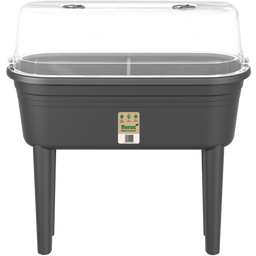 Florus Growtable Set