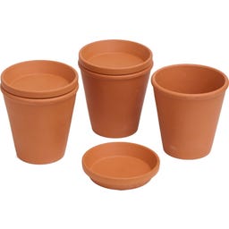 Romberg Plant Watering Aid