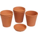 Romberg Plant Watering Aid