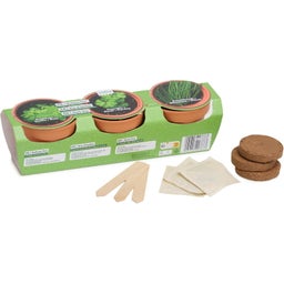 Romberg Kräuter-Anzucht-Set mit Tontöpfen