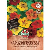 Sperli Nasturcja "Rankender Roland"