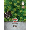 Dill