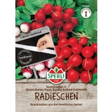 Sperli Radies "Kombination II" Saatband