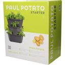 Gusta Garden Paul Potato Starter - 3 nadstropja - Siva