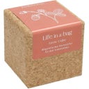 Life in a bag Grow Cube Erdbeere